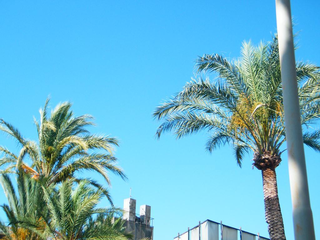 Appartamento Vacanze I Provenzali 博尔迪盖拉 外观 照片